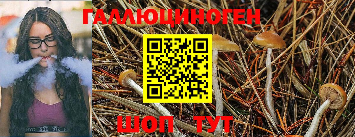 Псилоцибиновые грибы Psilocybe  Вход с VPN  Галлюциногенные грибы MAGIC MUSHROOMS  хочу   Архангельск 