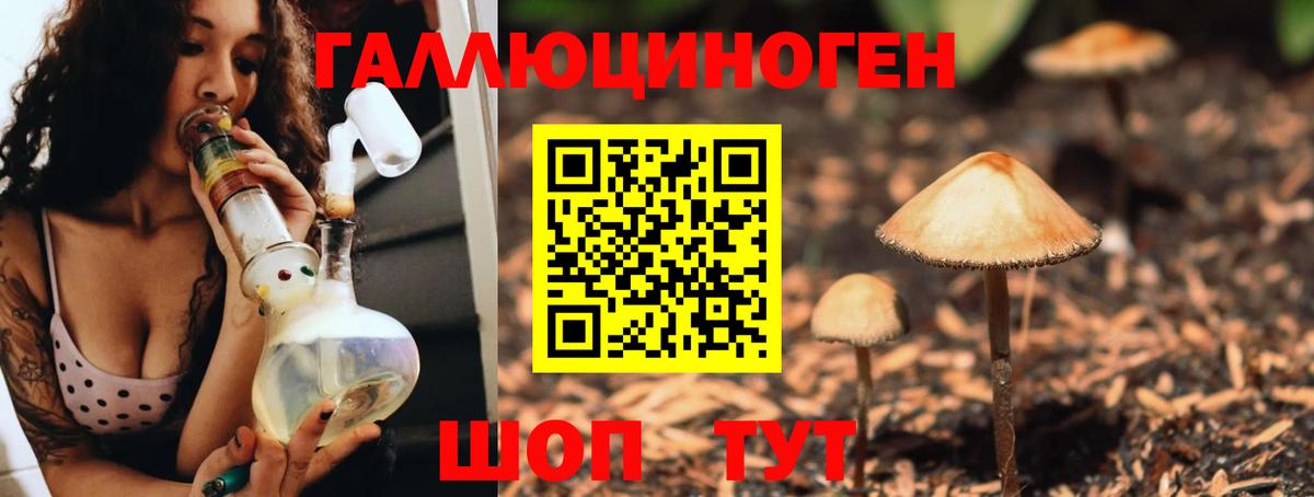 Галлюциногенные грибы прущие грибы Архангельск